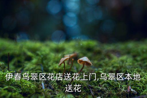 伊春烏翠區(qū)花店送花上門,烏翠區(qū)本地送花