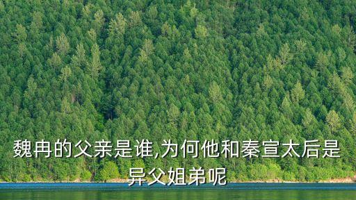 魏甲,魏野仙蹤