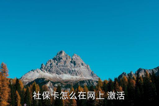 社會保障卡怎么激活,人力資源社會保障卡怎么激活