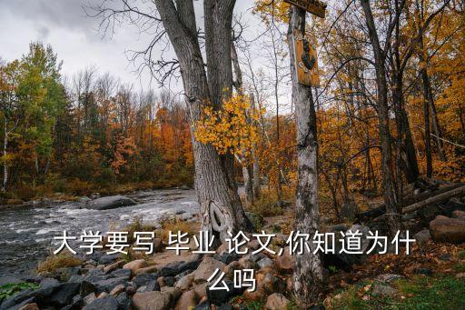 大學(xué)畢業(yè)論文