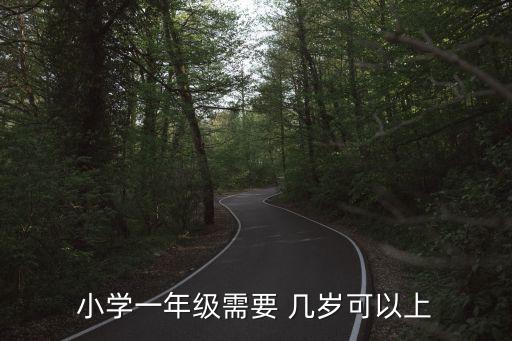 小學(xué)一年級(jí)需要 幾歲可以上