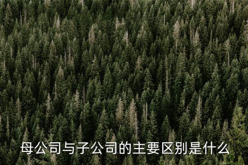 母公司