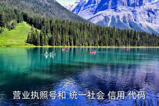 統(tǒng)一信用代碼