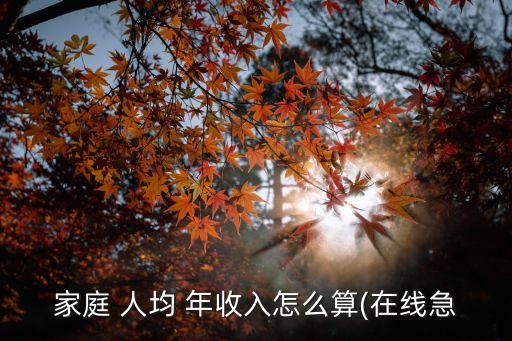人均年收入怎么算,貧困補助家庭人均年收入怎么算