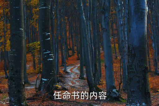  任命書的內(nèi)容