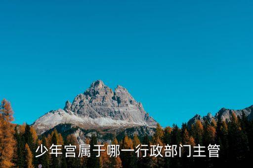  少年宮屬于哪一行政部門主管