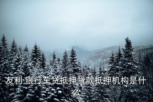 有利銀行,友利銀行app官方網(wǎng)站