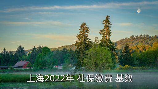 上海社保最低基數(shù),2022年上海社保最低基數(shù)