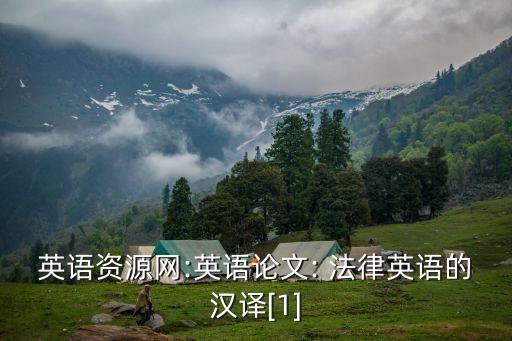 法律文本翻譯技巧有哪些方面,翻譯法律文本時的技巧有哪些