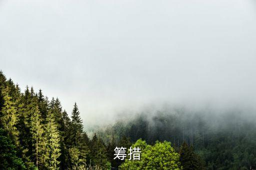 資金籌措