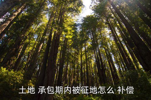 土地承包后被征用補(bǔ)償