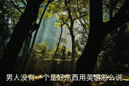 沒(méi)有一個(gè)的英文,兩者中沒(méi)有一個(gè)的英文