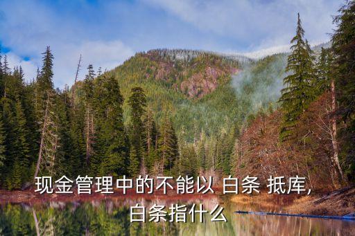 白條抵庫