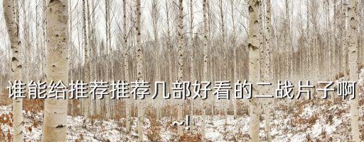 二級生活片,適合老年人看的播放器