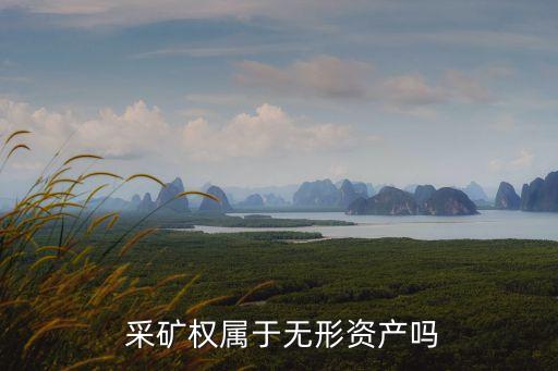  采礦權屬于無形資產(chǎn)嗎