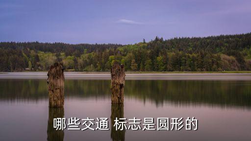 發(fā)光標(biāo)志,汽車有一個燈泡發(fā)光標(biāo)志