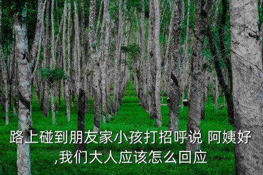朋友的阿姨