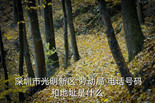深圳勞動局電話,深圳市勞動局24小時在線咨詢電話
