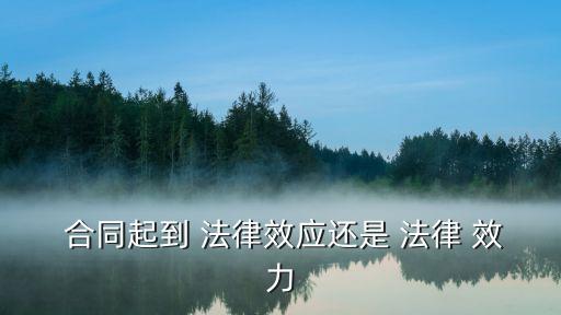 合同成立后有什么法律效力