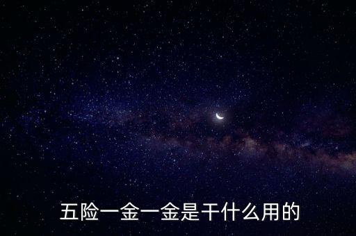 五險(xiǎn)一金有什么用,外地人在上海交五險(xiǎn)一金有什么用
