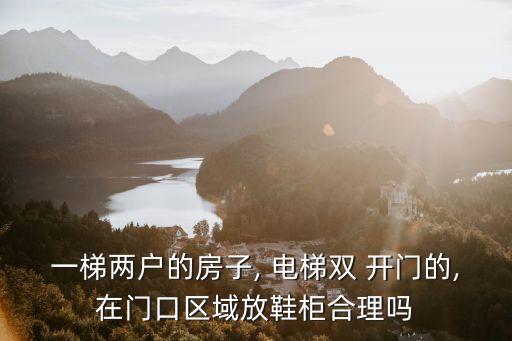 一梯兩戶的房子, 電梯雙 開門的,在門口區(qū)域放鞋柜合理嗎