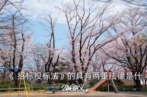 招標(biāo)法合同法,合同法與招標(biāo)法何者優(yōu)先