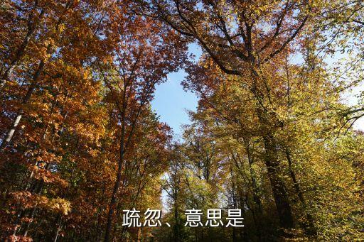  疏忽、意思是