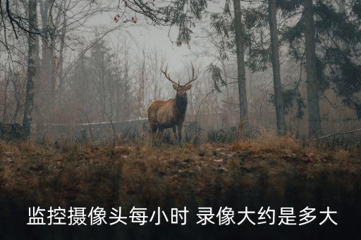 監(jiān)控錄像