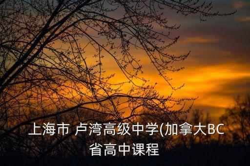 上海盧灣