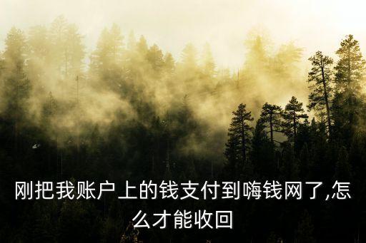 剛把我賬戶上的錢支付到嗨錢網(wǎng)了,怎么才能收回