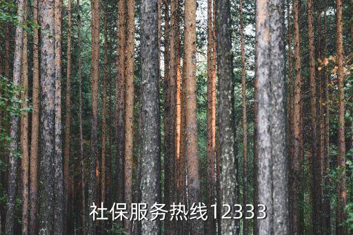 社保問題在線咨詢,12333社保人工客服電話