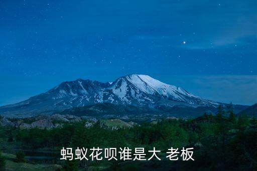 支付寶老板