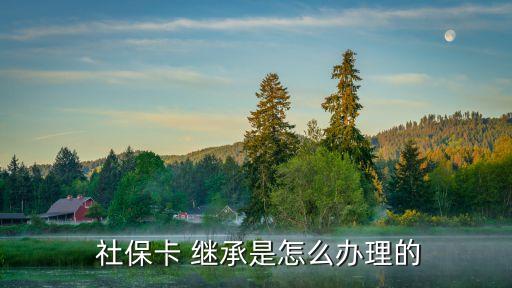 社保可以繼承嗎,社保繼承的最新規(guī)定