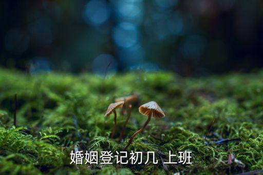 民政局初幾上班,過年民政局初幾上班