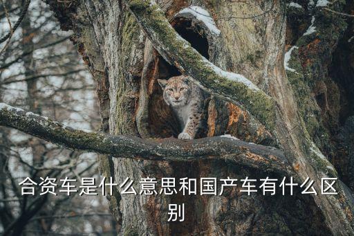 合資是什么意思,單位性質(zhì)合資是什么意思