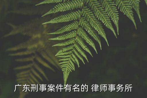 廣東刑事案件有名的 律師事務所