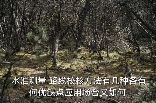 水準(zhǔn)路線