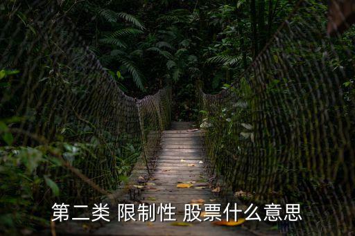 限制性股票