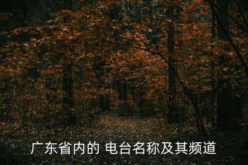 廣東省內(nèi)的 電臺(tái)名稱及其頻道