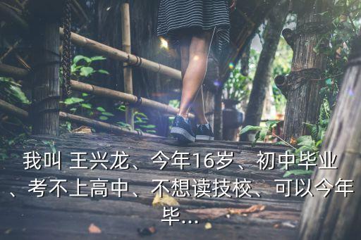 王興龍