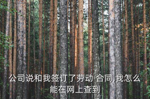 公司說和我簽訂了勞動 合同,我怎么能在網(wǎng)上查到