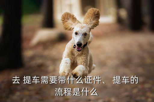 提車流程,買新車注意事項與提車流程