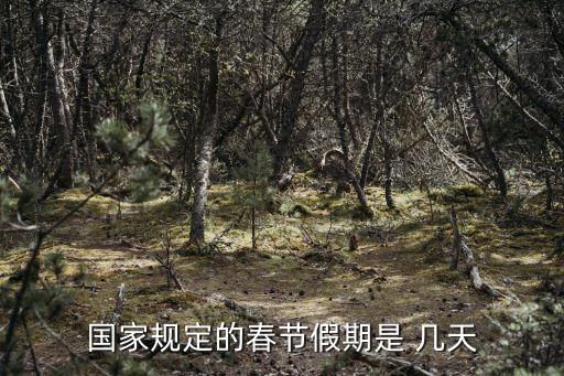 新年放假幾天,春節(jié)法定3天還是7天
