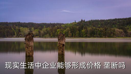 價(jià)格壟斷,行業(yè)協(xié)會(huì)價(jià)格壟斷