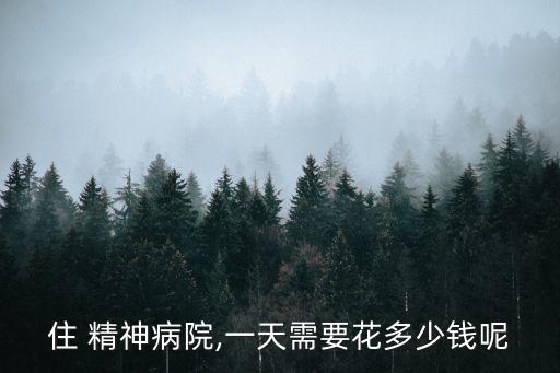 精神病院收費標準,低保住精神病院收費標準