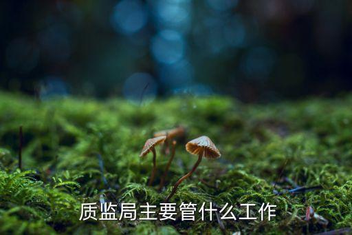 質(zhì)監(jiān)部門,日以書面形式告知當(dāng)?shù)亟ㄔO(shè)工程質(zhì)監(jiān)部門