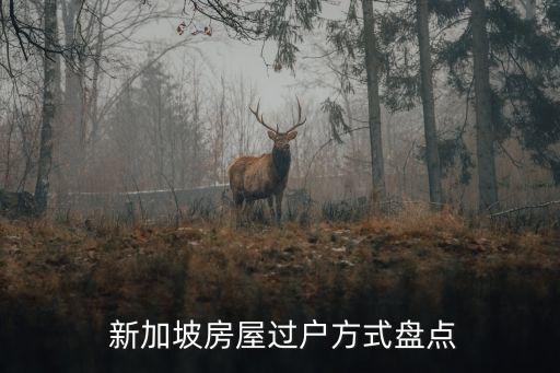 新加坡房產