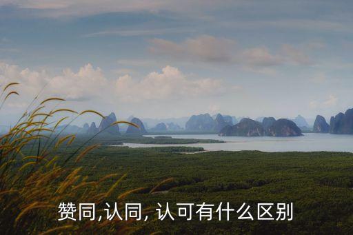 贊同,認(rèn)同, 認(rèn)可有什么區(qū)別