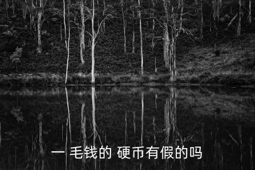 一 毛錢的 硬幣有假的嗎