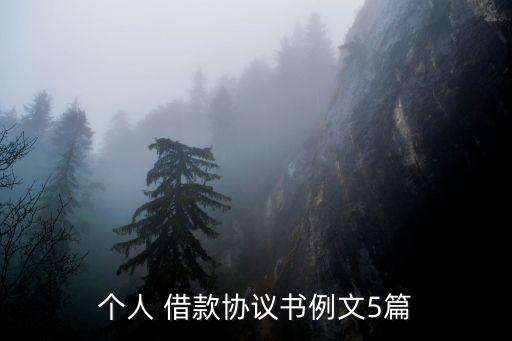 個(gè)人 借款協(xié)議書例文5篇